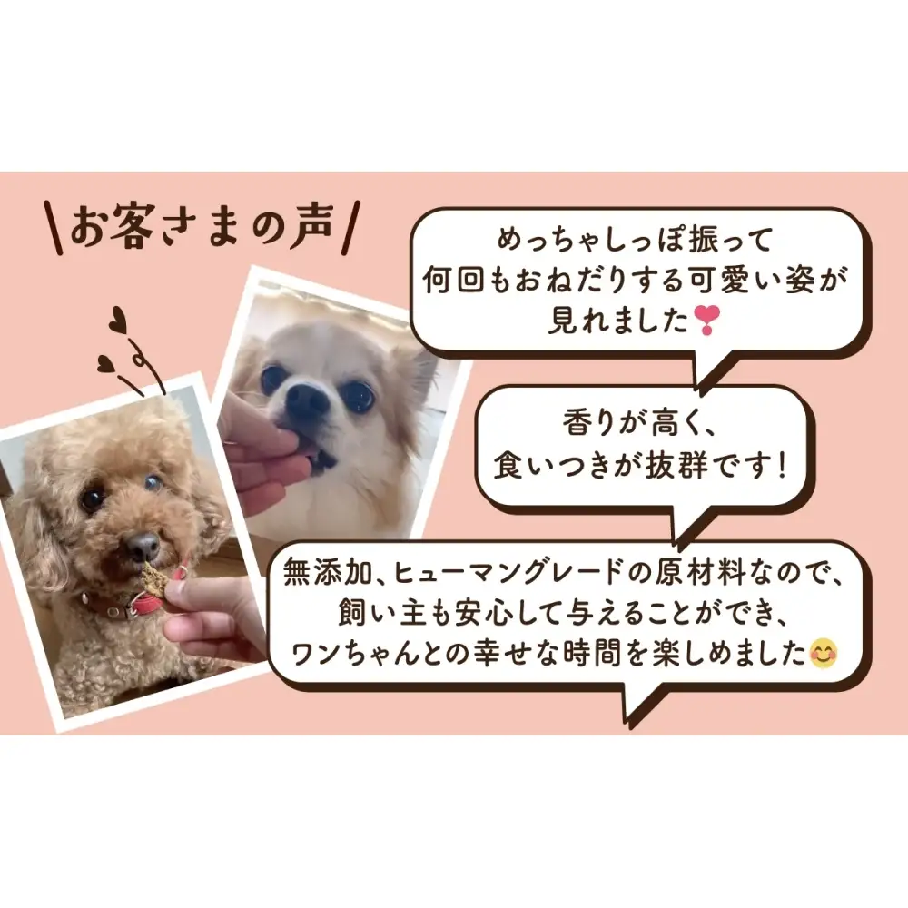 ワンちゃんのおやつ 鶏 ８袋 ドッグフード 犬 おやつ 無添加 グルテンフリー 国産