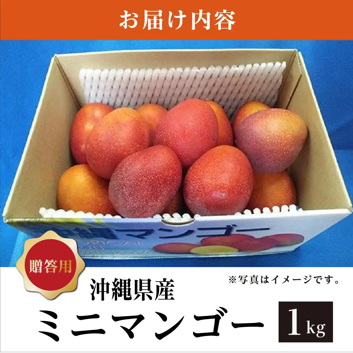 ＜先行予約＞ミニマンゴー1kg 贈答用   I  ミニ マンゴー 1kg 贈答 用 フルーツ 果物 ギフト   沖縄県 南城市 ふるさと納税 石崎ファーム