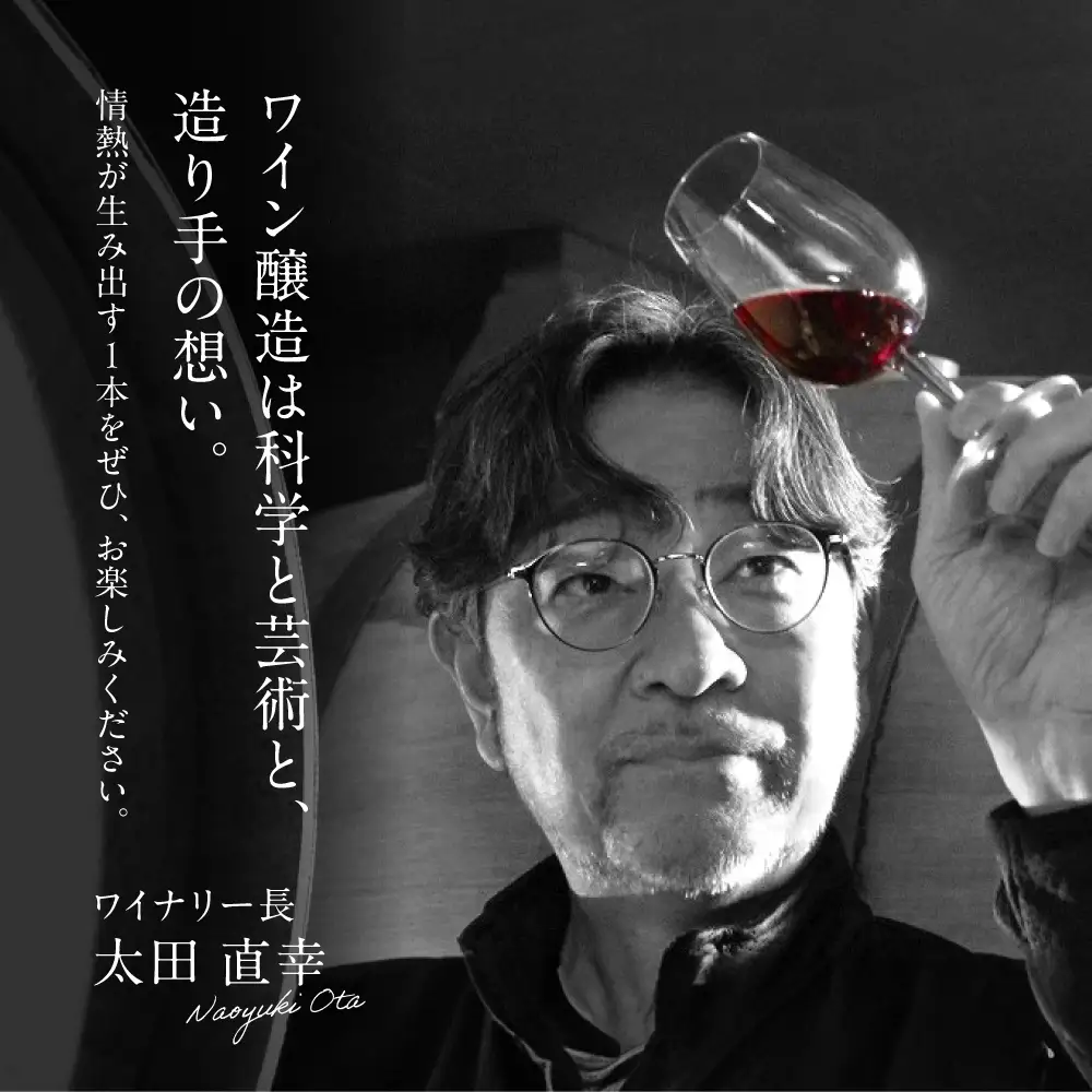 赤ワイン 榴 りゅう RYU 750ml×2本 [APAZ133]赤ワイン