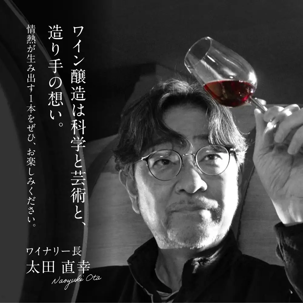 【全6回定期便】 赤ワイン 榴 りゅう RYU 750ml×1本 [APAZ139]赤ワイン
