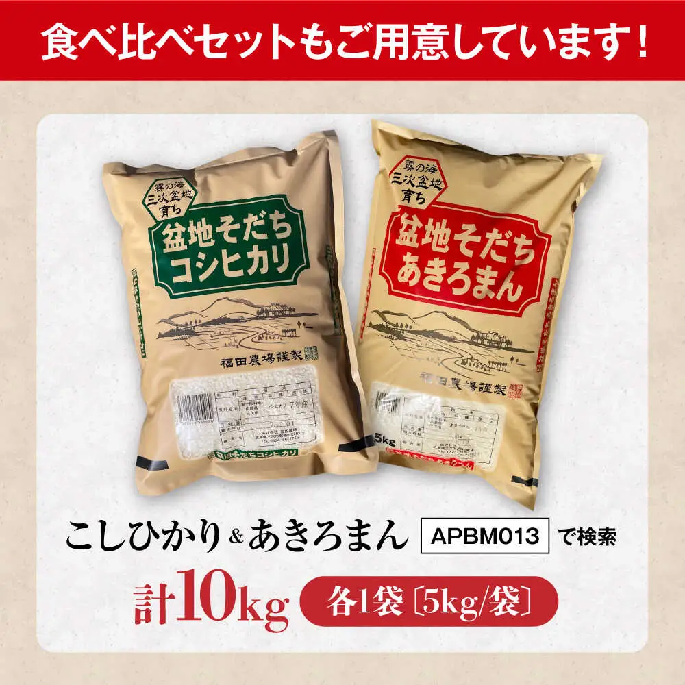 【全2回定期便】 米 盆地そだちこしひかり 5kg[APBM028]米
