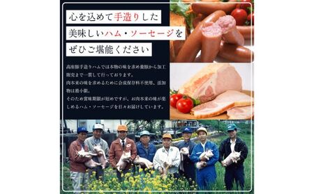ウインナーセット しそ入り ガーリックチーズ ラインバイザ ウインナーセット【計300g 3種】