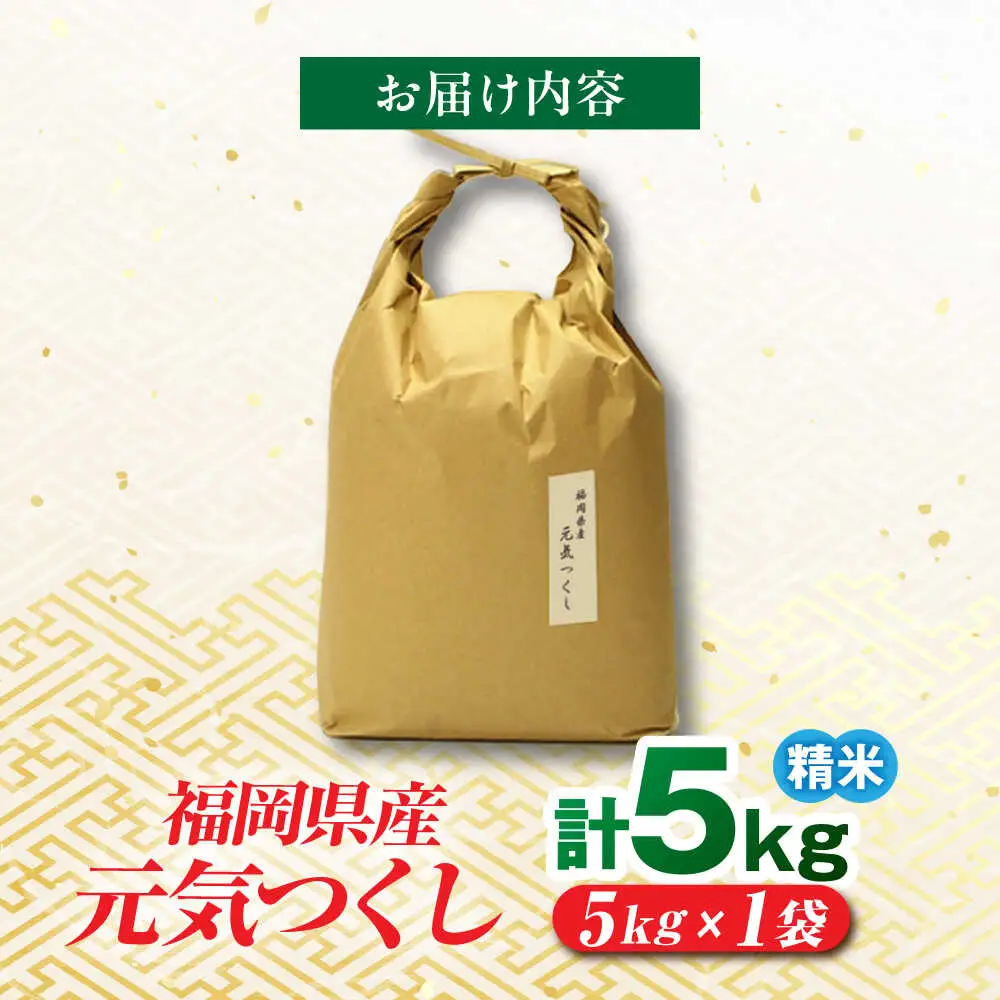 福岡県産 元気つくし 白米 5kg×1袋 [BGAF025]元気つくし
