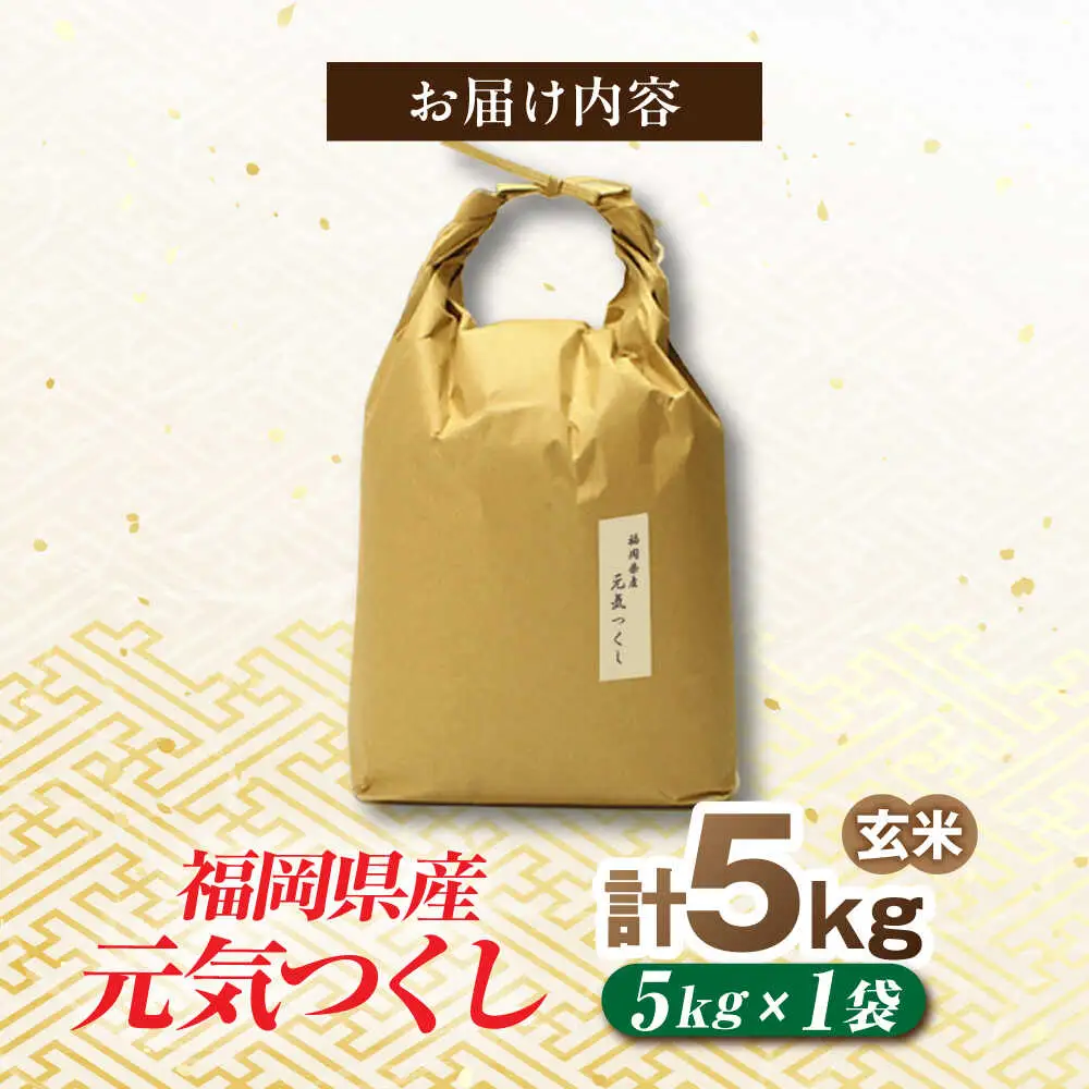 福岡県産 元気つくし 玄米 5kg×1袋 [BGAF026]元気つくし