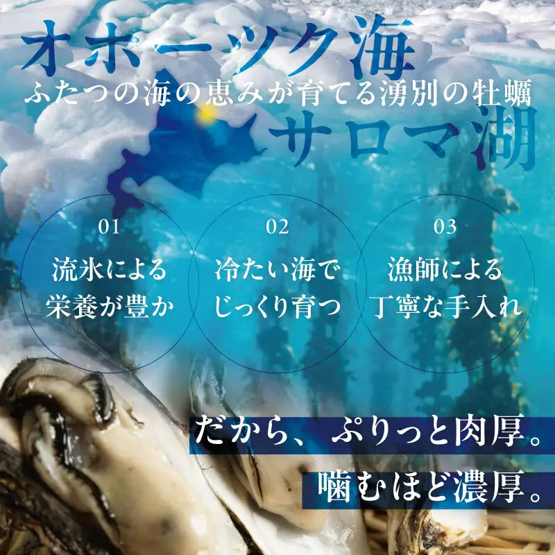 北海道 オホーツク 湧別 サロマ湖産 殻付き 牡蠣 生食可 3.5kg 