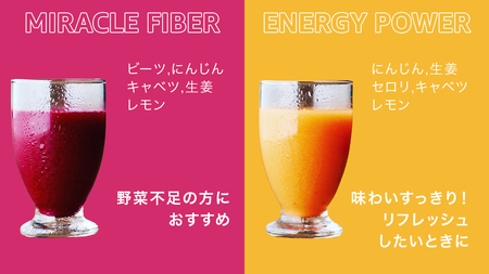 【1日ファスティングに最適】1day fasting コールドプレスジュース 6本セット 360ml×6種