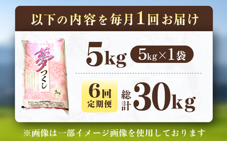 【6回定期便】令和8年産 福岡県産米 夢つくし5kg（5kg×1袋） 広川町 / たなか農産[AFCJ006]