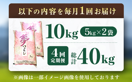 【4回定期便】令和7年産 福岡県産米 夢つくし10kg（5kg×2袋） 広川町 / たなか農産[AFCJ008]