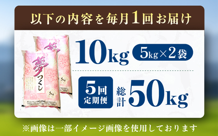 【5回定期便】令和7年産 福岡県産米 夢つくし10kg（5kg×2袋） 広川町 / たなか農産[AFCJ009]