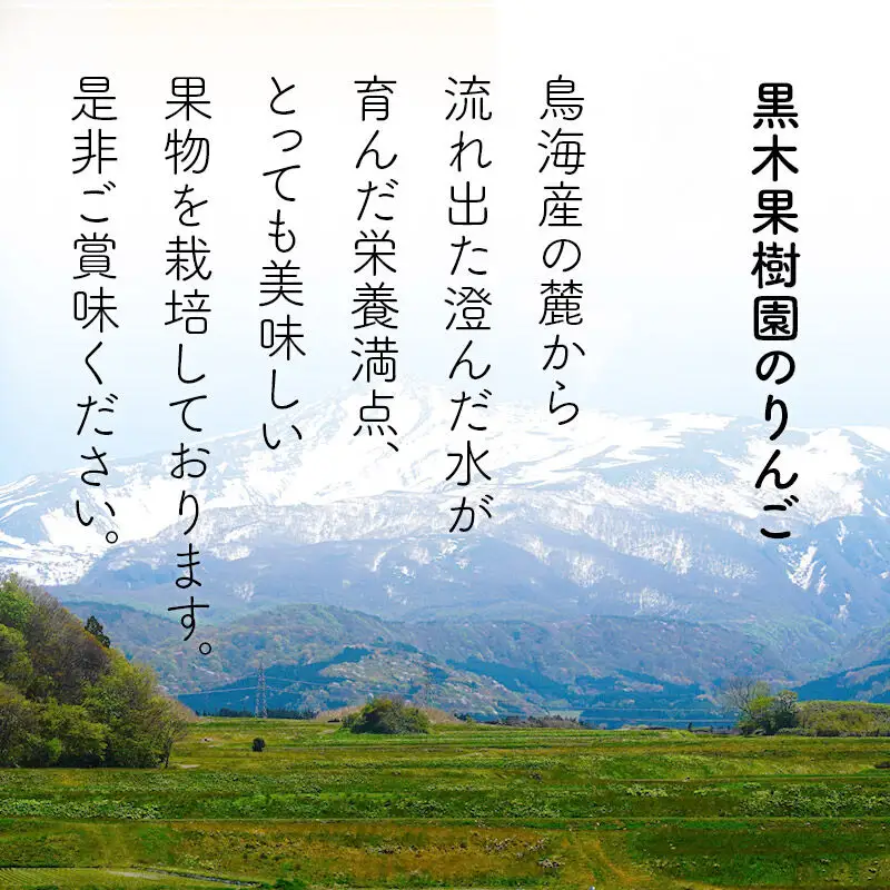 《先行受付》りんご（ふじ）5kg 黒木果樹園のりんご（12月上旬～1月下旬に発送）