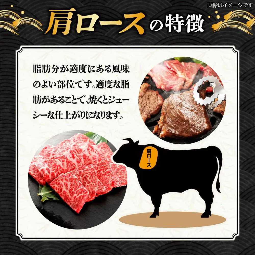 【9月発送】飛騨牛 焼肉用 ロース・肩ロース 500g A5等級 [TAZ030-9]