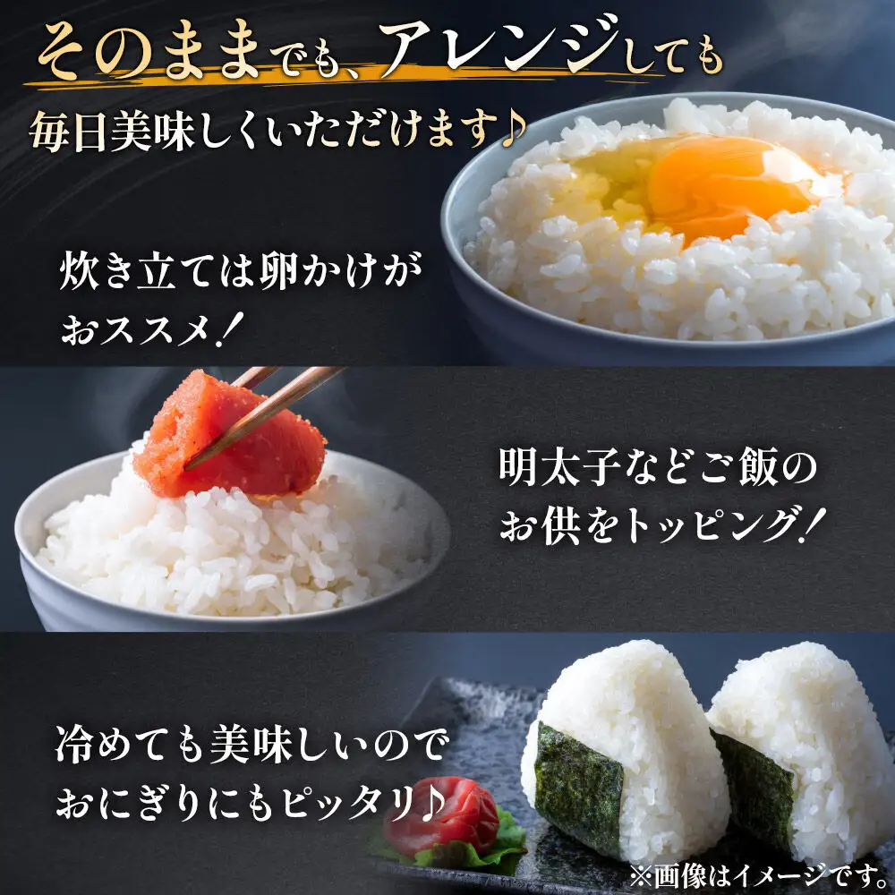 【白米】《定期便》 5kg×12回 令和7年産 あきたこまち 土作り実証米 合計60kg 秋田県産