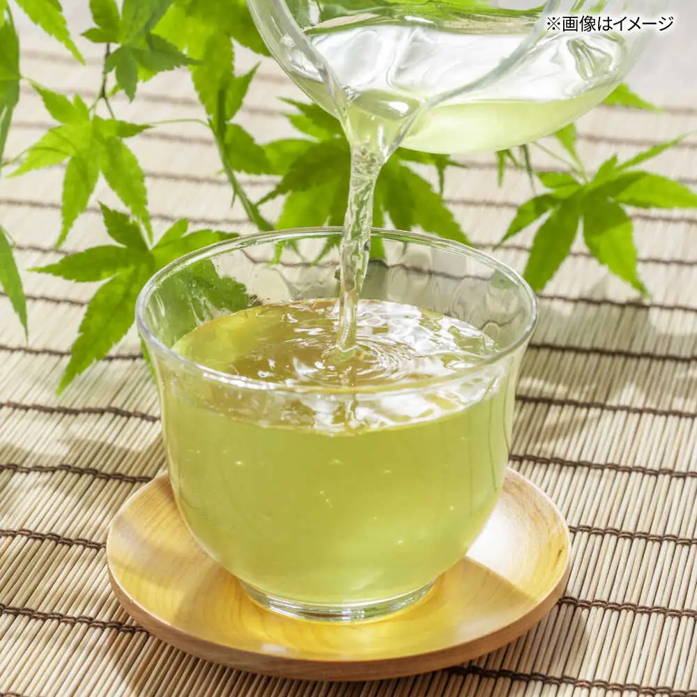 八女茶産地直送！ 中島製茶本舗 ご家庭用 煎茶 ティーバッグ 100パック 桂川町/一般社団法人地域商社ふるさぽ[ADCF002]