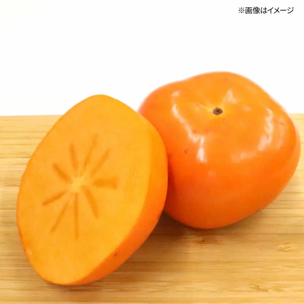 秋の贅沢、濃厚であまーい柿の新ブランド「秋王」約1.5kg こだわりの黒化粧箱／2026年10月-11月頃より発送予定 桂川町/一般社団法人地域商社ふるさぽ[ADCF009]