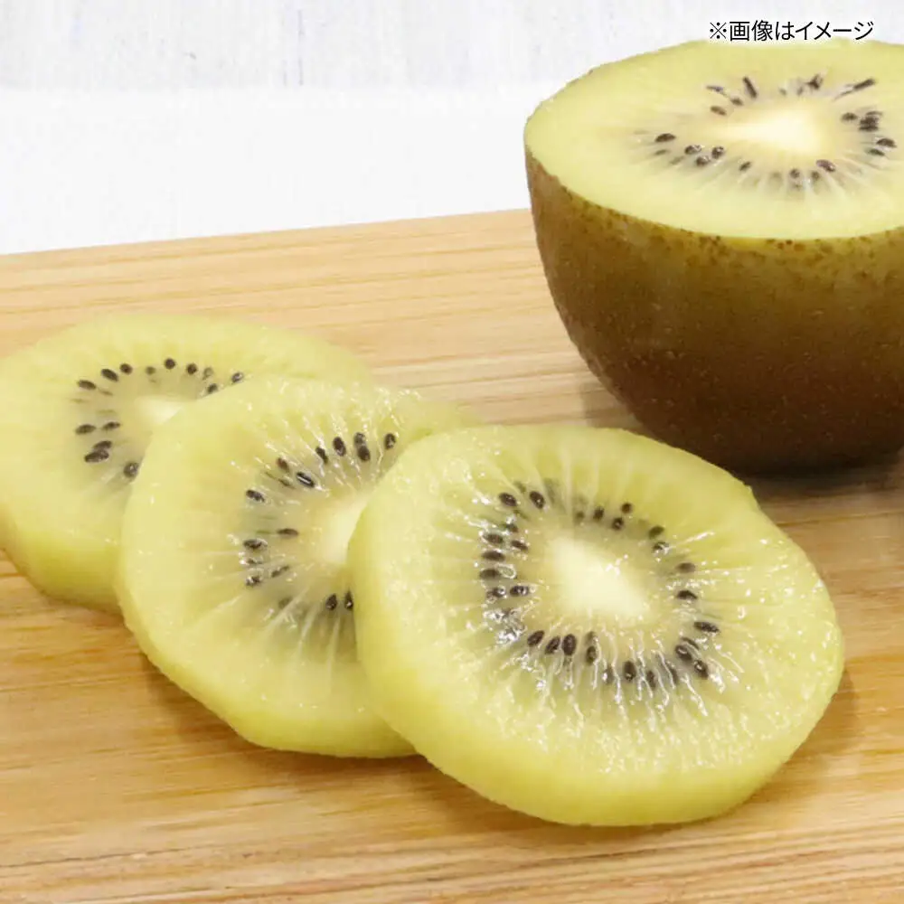 福岡限定品種キウイ「甘うぃ」約3kg／2026年11月頃より発送予定 桂川町/一般社団法人地域商社ふるさぽ[ADCF012]