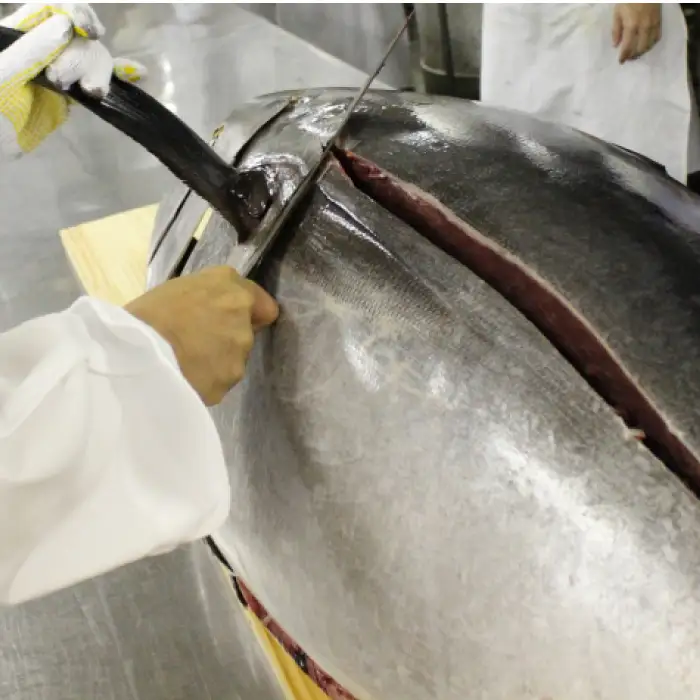 【ふるなびWEEK対象】まぐろ ねぎとろ 約500g [AKAK120-FW] ねぎとろ