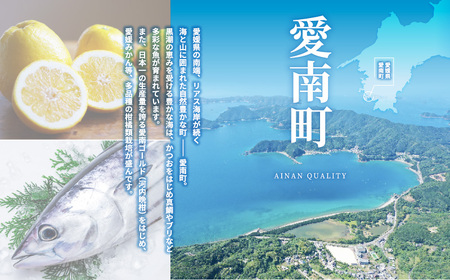 【 代官山 魚介熟成 フレンチ 】 サンプリシテ 「 愛南町 ランチ コース 」 食事券 2名様分 ペアチケット 東京