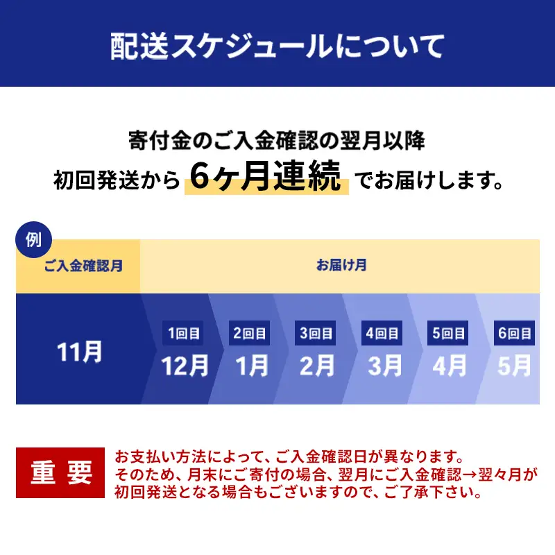 全6回 定期便 冷凍ほたて貝柱 1kg（41～60粒）