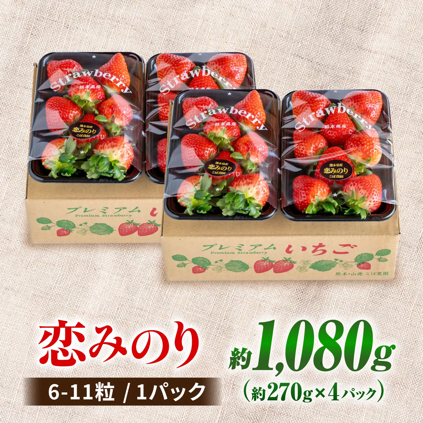 【先行予約】 いちご 恋みのり約1080g(約270g/6〜11粒×4p) 熊本いちご苺イチゴZFO006