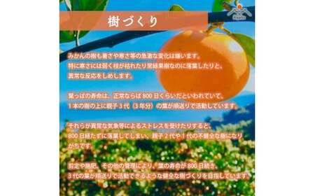 O-92 オリジナルジュース２種４本セット