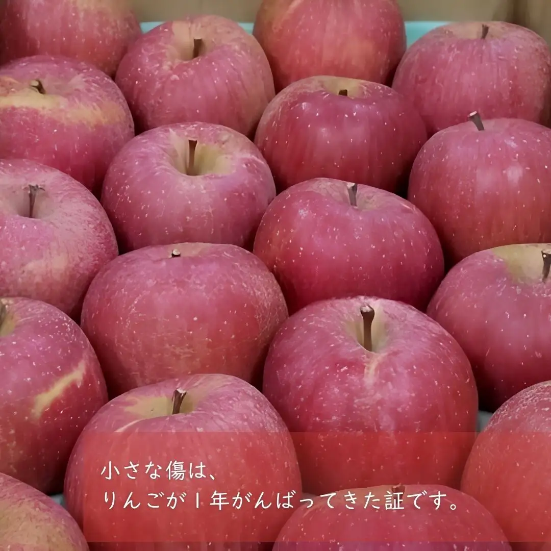 KR18 サンふじ 家庭用 小玉 約5kg（17～20玉） 長野県松川町産／11月下旬頃～配送予定//長野県 南信州 リンゴ 林檎 ふじ さんふじ 小玉サイズ 訳あり 自家用 農家直送 農家支援 産地直送
