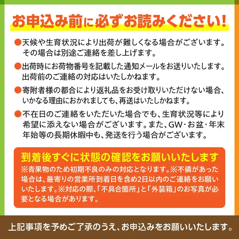 マンゴー 太陽のタマゴ 定期便 マンゴー[全3回 2027年発送先行予約 数量・期間限定]