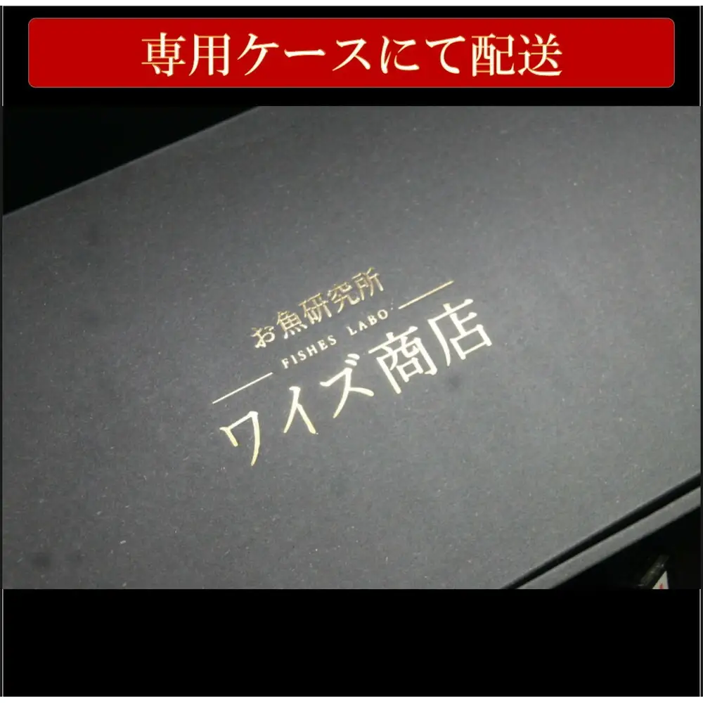 博多名物 胡麻サバと胡麻海鮮 各5パックセット 計10パック