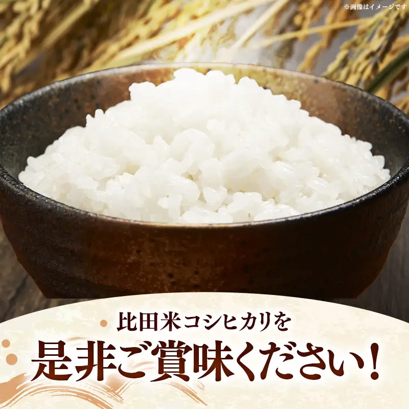 比田米 コシヒカリ(精米)5kg【令和7年産 米 お米 こしひかり ごはん ご飯 国産】【価格変更】【15-EC-40】