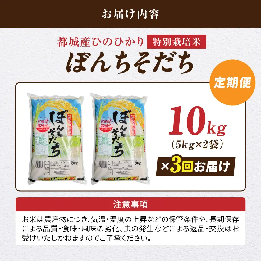 ≪3回お届け!≫都城産ひのひかり特別栽培米「ぼんちそだち」10kg定期便〔T63-3-N5-001-10kg〕_(都城市) 都城産 お米 10kg ひのひかり ぼんちそだち 5kg×2袋 3ヶ月定期便
