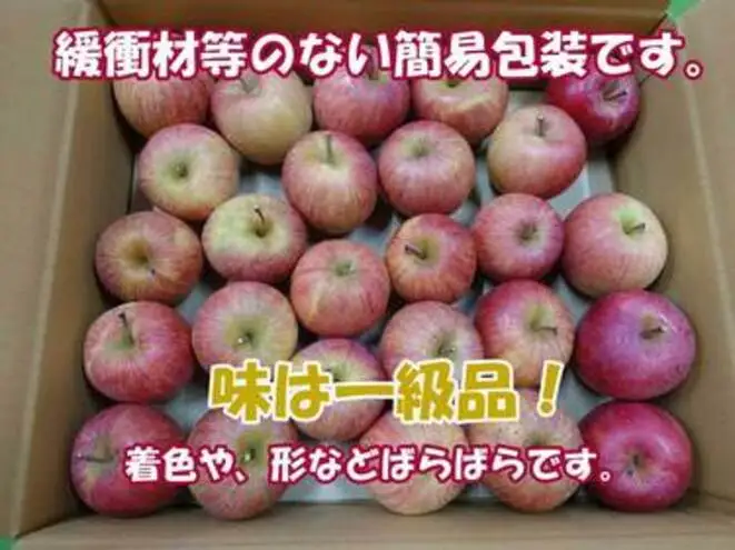 【2026年産】 シャキシャキ葉とらず ふじりんご 約5kg 特別栽培農産物 長野県産 訳あり りんご リンゴ フルーツ 果物 おやつ デザート 信州 上田 家庭用