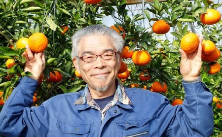 佐賀みかん ジュース 味香 贅沢搾り 果汁500ml 瓶 2本セット