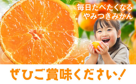 訳あり 温州みかん サイズミックス 3S ～ 3L 約3kg 日本フルーツ株式会社《10月中旬-2月下旬頃出荷予定》熊本県 荒尾市 みかん 温州みかん ミカン 蜜柑 柑橘類 訳あり ご家庭用 サイズ不揃い 果物 フルーツ