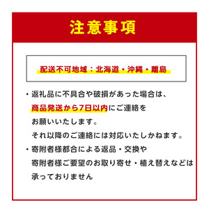 【観葉植物】モンステラ 緑の中道 IB067-006  観葉植物 ※北海道・沖縄・離島配送不可