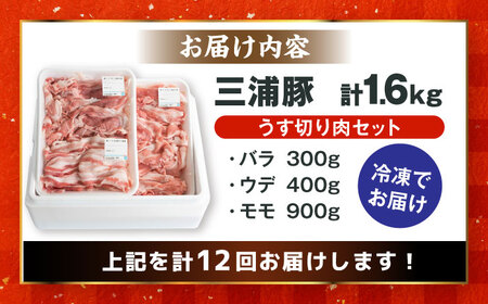 【12回定期便】 特盛三浦豚 1.6kg 豚肉セット / 恵那市 / あづま精肉店 [AUDL008]