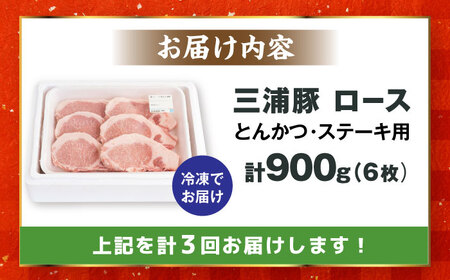 【3回定期便】 三浦豚 豚肉 ロース900ｇ（ステーキ / 恵那市 / あづま精肉店 [AUDL009]