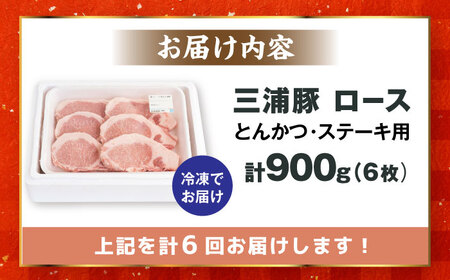 【6回定期便】 三浦豚 豚肉 ロース900ｇ（ステーキ / 恵那市 / あづま精肉店 [AUDL010]