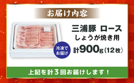 【3回定期便】 三浦豚 豚肉 ロース900ｇ（生姜焼き用） / 恵那市 / あづま精肉店 [AUDL012]