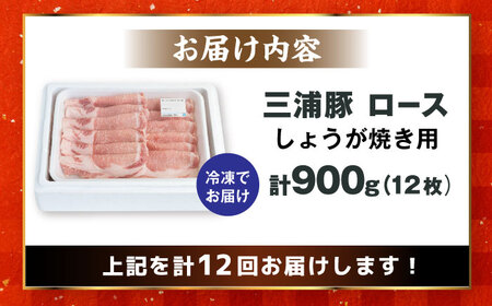 【12回定期便】 三浦豚 豚肉 ロース900ｇ（生姜焼き用） / 恵那市 / あづま精肉店 [AUDL014]