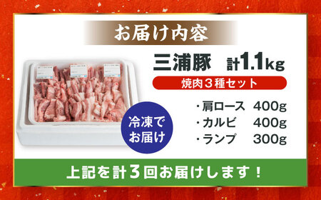 【3回定期便】 豪華 三浦豚 1.1kg 焼肉セット 肩ロース カルビ ランプ / 恵那市 / あづま精肉店 [AUDL018]