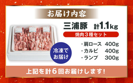 【6回定期便】 豪華 三浦豚 1.1kg 焼肉セット 肩ロース カルビ ランプ / 恵那市 / あづま精肉店 [AUDL019]