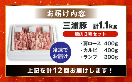【12回定期便】 豪華 三浦豚 1.1kg 焼肉セット 肩ロース カルビ ランプ / 恵那市 / あづま精肉店 [AUDL020]