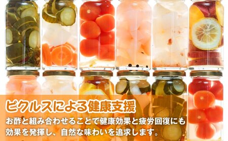 ＜農家の手作り ピクルス詰め合わせ！＞人気のピクルス3種セット(1セット・計3本)  タマネギと青じそ梅かつお さつまいもと柚子のサワーバニラ 酢漬け 漬物 おかず ヘルシー カラフル おつまみ ギフト 贈答用 【m104-08-A】【エントランスファーム】