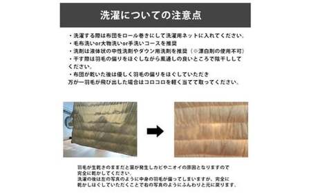 寝袋にもなる羽毛布団　充填量：0.35kg【002221】