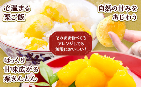 栗 生栗 2kg とくちゃん農園《2026年9月上旬-10月上旬頃出荷予定》