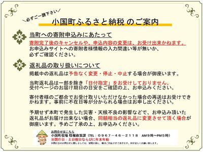 【トモヨシ】純国産 馬刺し 4種 上赤身 霜降り 馬ユッケ 馬レバー 各100g 計400g 希少部位 定番 熊本名物 国内肥育 熊本と畜 贈り物 贈答 ギフト 急速冷凍 小分け 真空パック 鮮度を保持 専用箱 熊本 阿蘇 小国町 チルド 冷凍配送