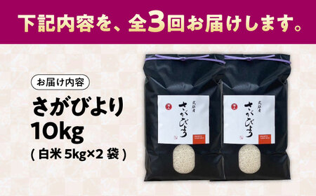 【3回定期便】さがびより 白米 10kg /株式会社 y's company（utsu和ya）[UDX026] 定期