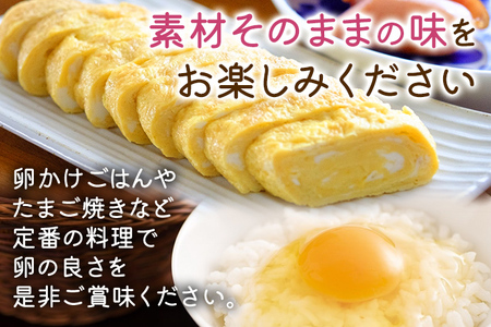木村さんちのたまご 赤玉30個 （M～L） 九州産 卵 玉子 玉子焼き たまごかけごはん 生卵 濃厚卵 鶏卵 送料無料