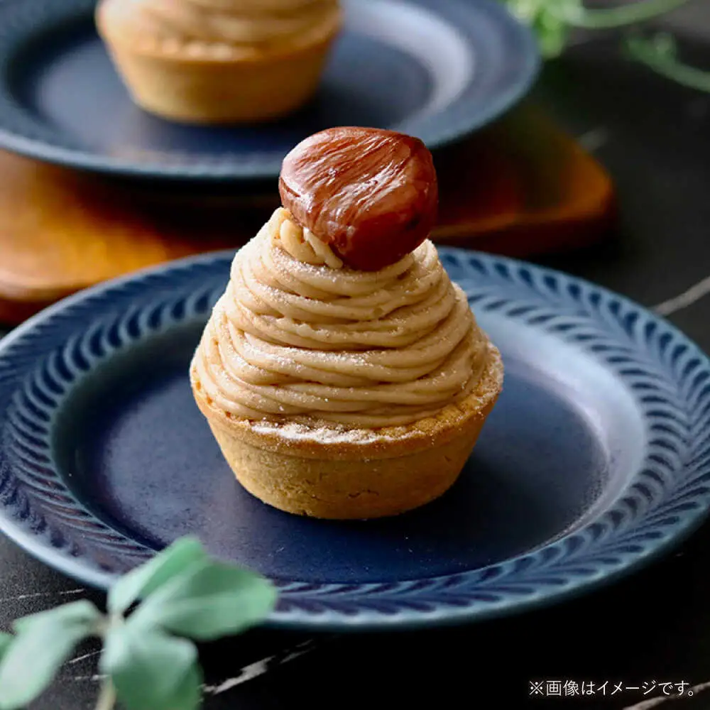 【波佐見焼】ローズマリー　リムプレートM デニム　2枚セット　食器 皿【翔芳窯】[FE574]