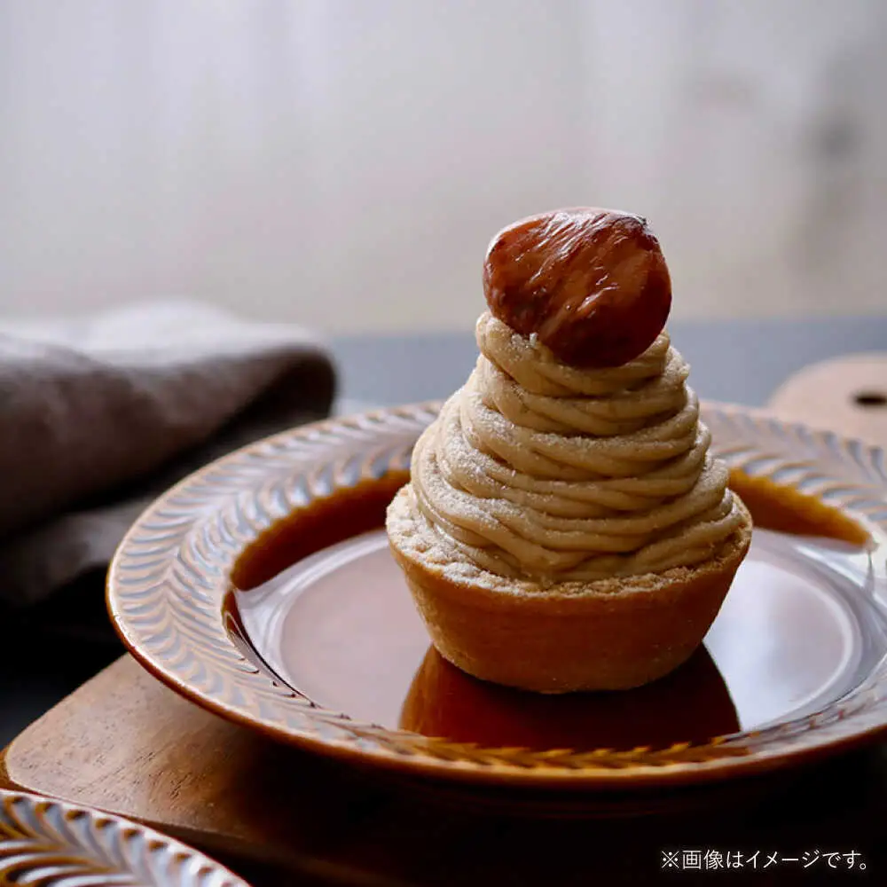 【波佐見焼】ローズマリー　リムプレートM アメ　2枚セット　食器 皿【翔芳窯】[FE576] 波佐見焼 プレート