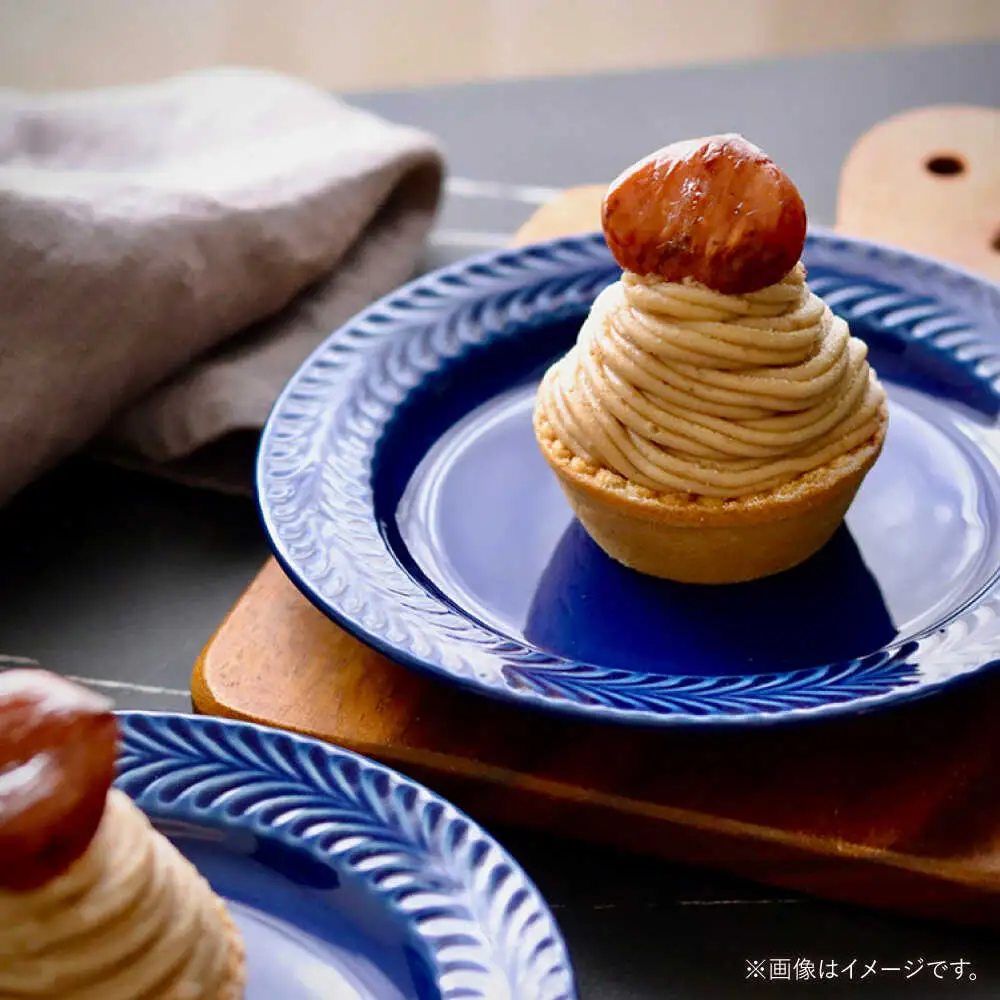 【波佐見焼】ローズマリー　リムプレートM ネイビー　2枚セット　食器 皿【翔芳窯】[FE578]